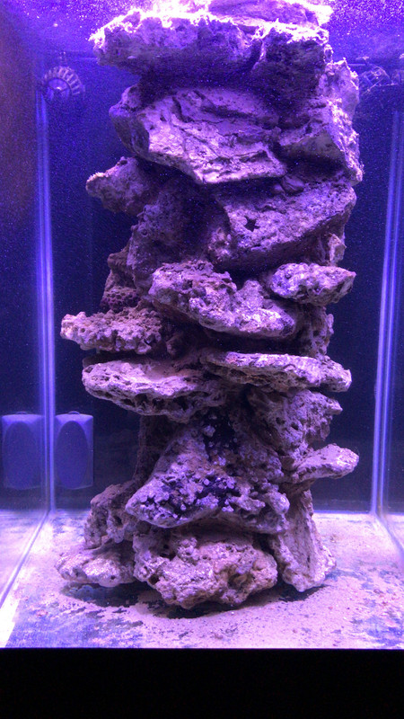 63538D12-7BA6-4448-9A83-0C82CC988EF0