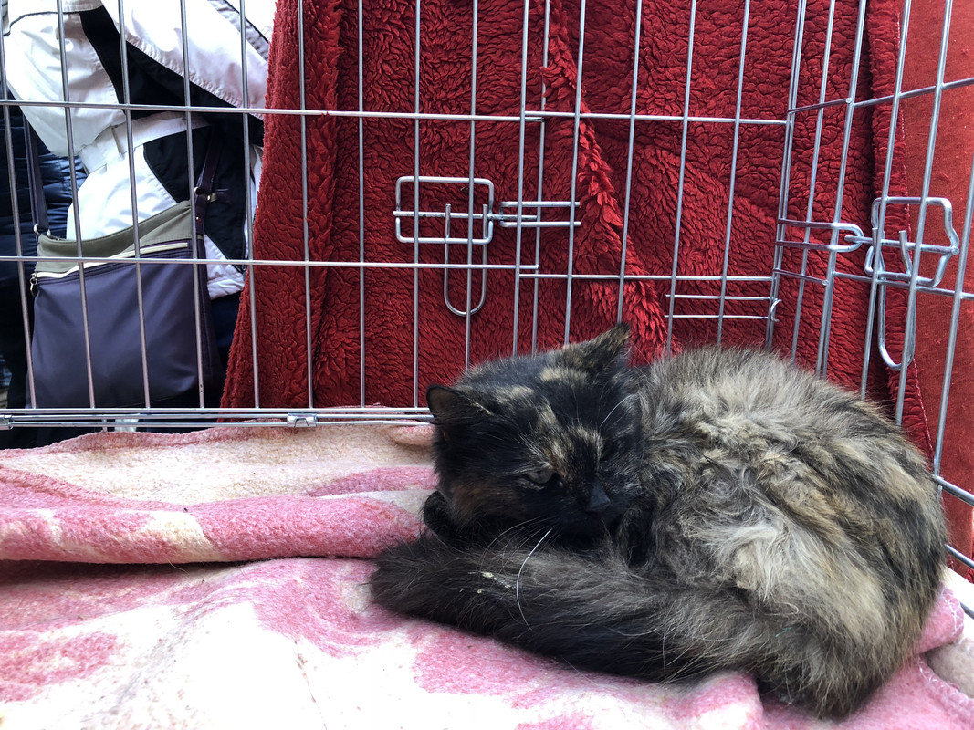 5A5FCEA9-613C-4218-98A9-503EFBE0FD6B