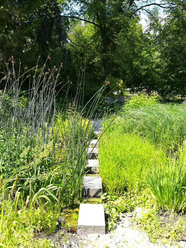 006 - IMG_20190714_131658