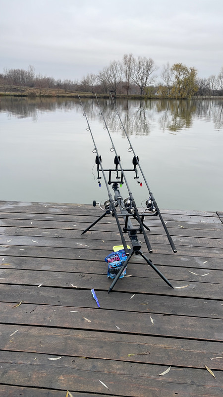 1D5BEBCC-9511-4F27-BD87-34A204577A2F