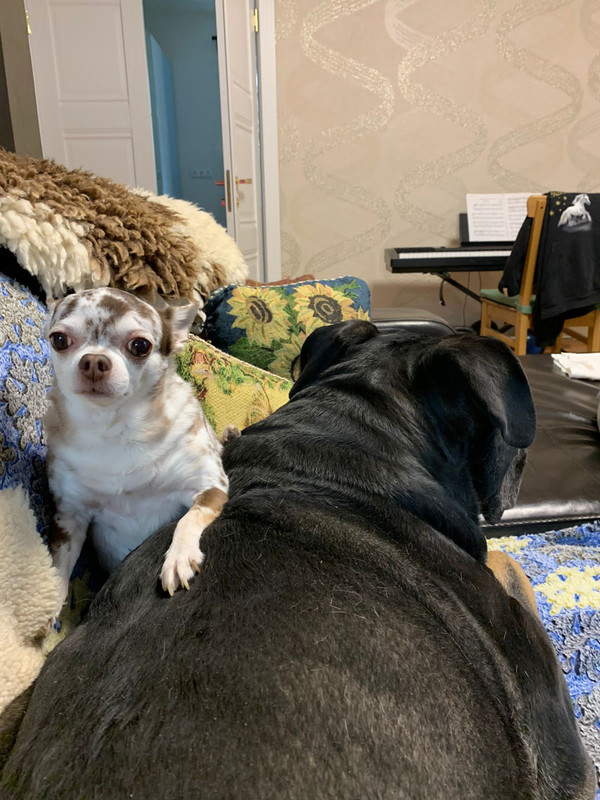 6549E245-0D88-4F22-BAB3-4D6CEFD850D3