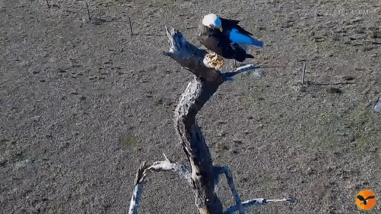 Webp.net-gifmaker (3) (1)