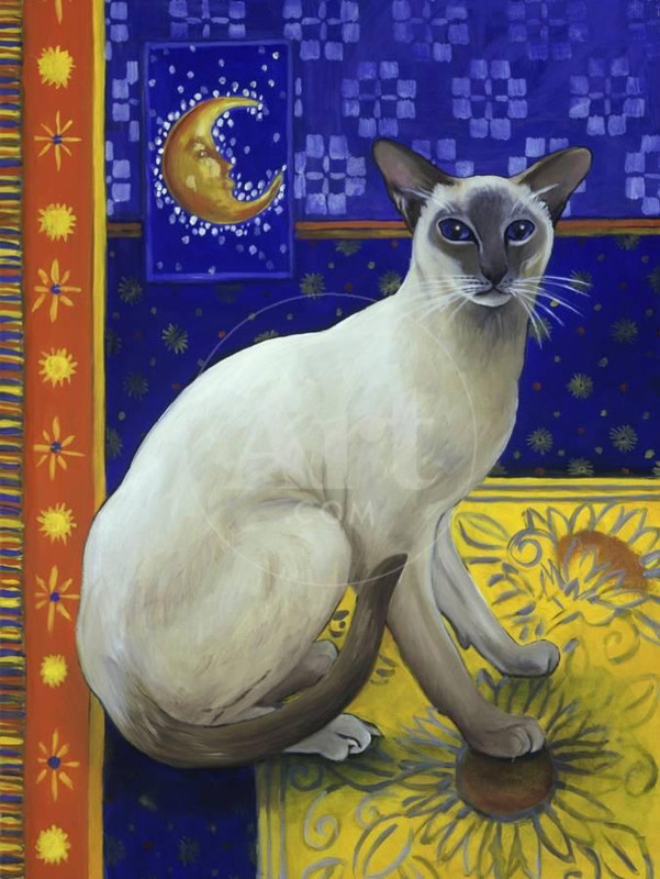 1-siamese-cat-series-i-u-L-Q1-HAPNC0