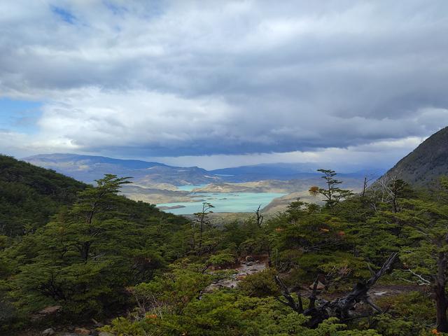 P.N.TORRES DEL PAINE. VALLE DEL FRANCES - ARGENTINA INFINITA II/ TORRES DEL PAINE (11)