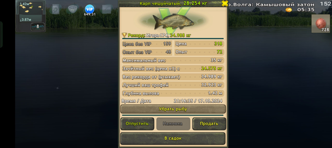Screenshot-2024-10-17-21-16-44-20-fa28ee