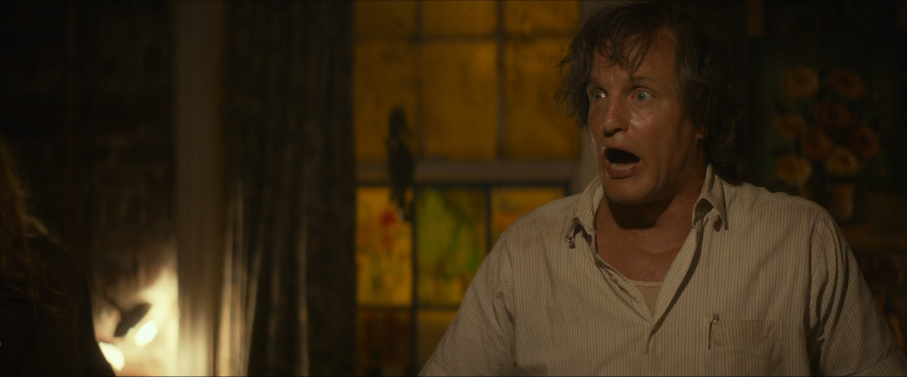 The Glass Castle 2017 (1080p x265 10bit Tigole).mkv_snapshot_01.