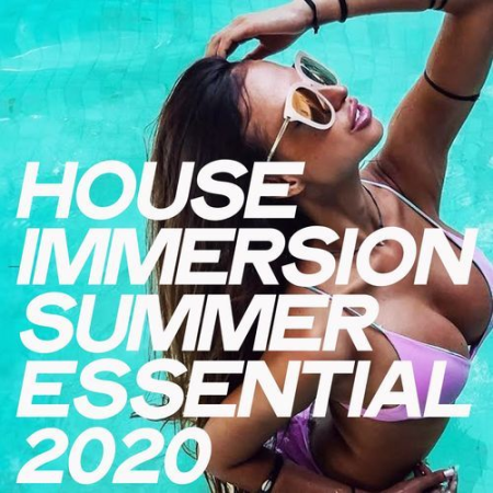 VA   House Immersion Summer Essential 2020