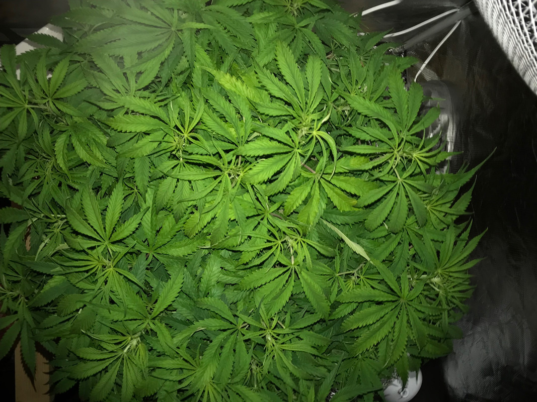 DCF224F6-CD7D-40BF-B388-D082AE130257