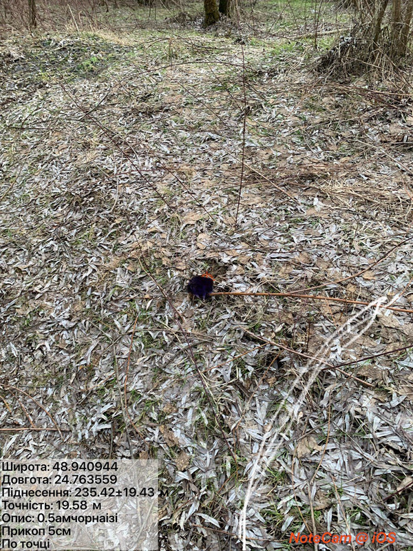 cc1bfc4227e467c313ab9ff7fa00fa60c901