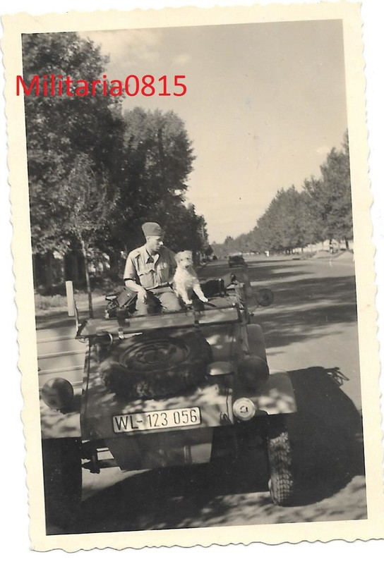 Foto 1943 Luftwaffen Kübel VW Kübelwagen in Cata