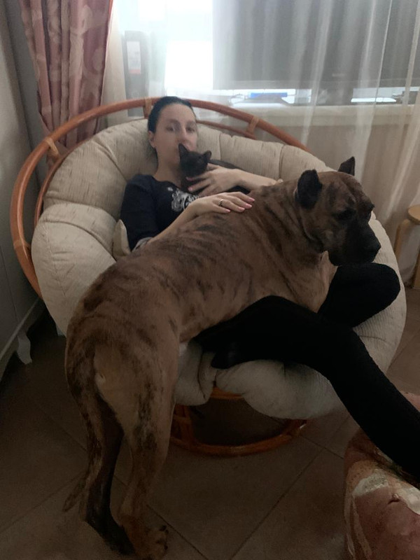 A5CC1A42-2FB2-40D8-B691-9052B1DADB12