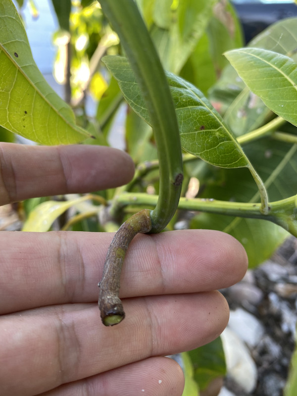 23C031E9-D4BC-4A53-8820-9520EC6EF78B