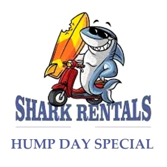 Shark-Rentals