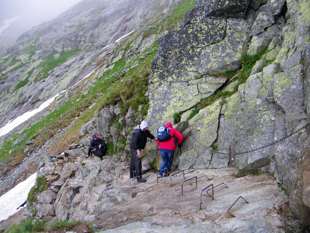 060 - 100_2905 (johny)