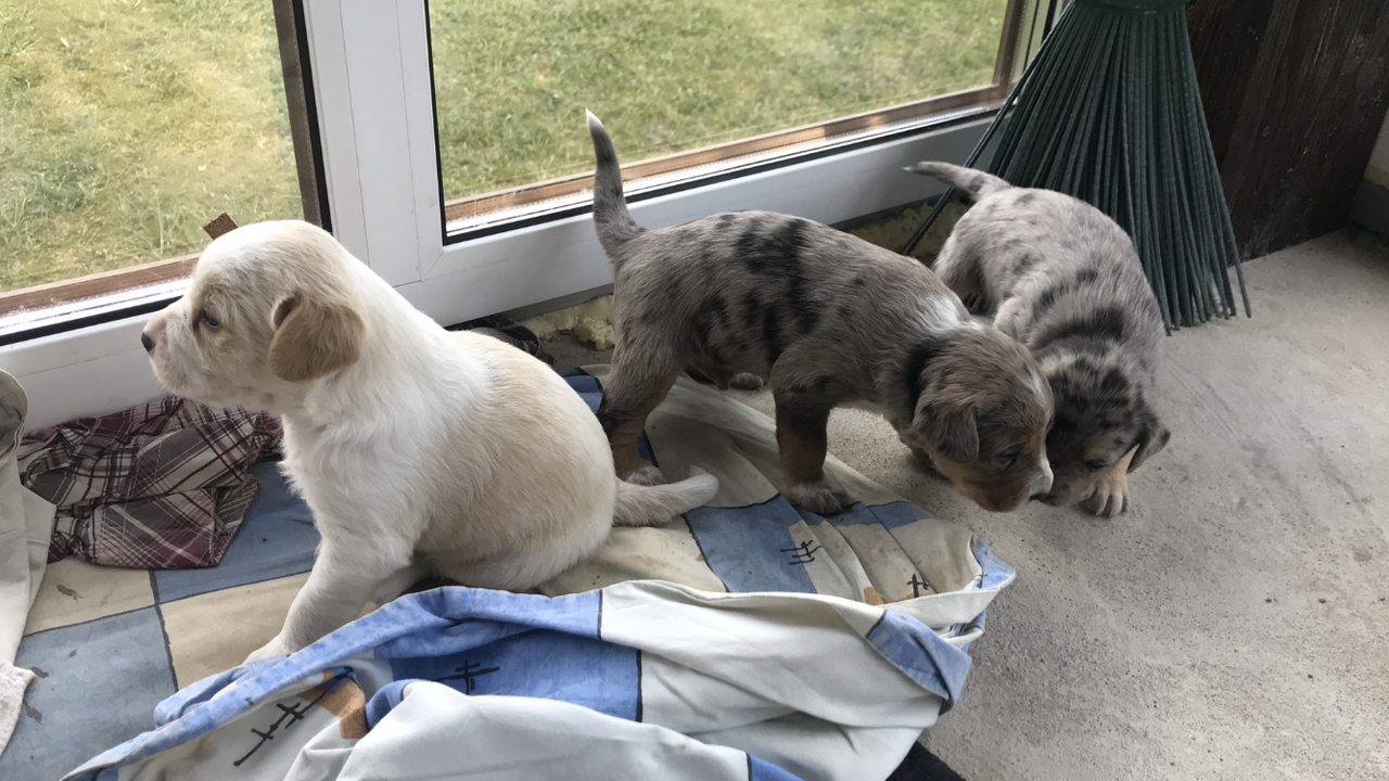 B54562CB-93FF-44EE-85F8-48CFC8FF2B03