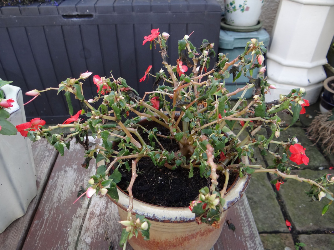 OCTOBER 1ST  5 011023