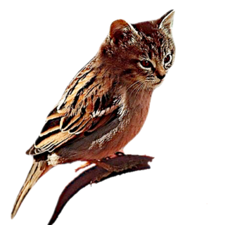 C83-C7725-6028-45-DB-9-F82-33-BBF51-C2-B4-C.png