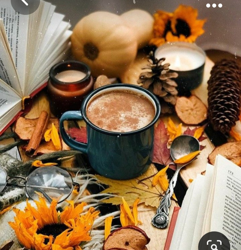 Screenshot_20231031_214802_Pinterest