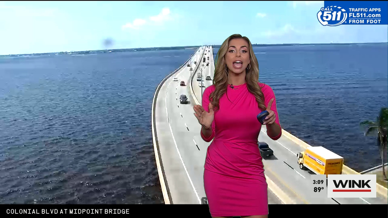 03.29 - 20.00.00 - WINK News at 3pm  ᴺᵉʷ..ts_snapshot_00.10.32.585