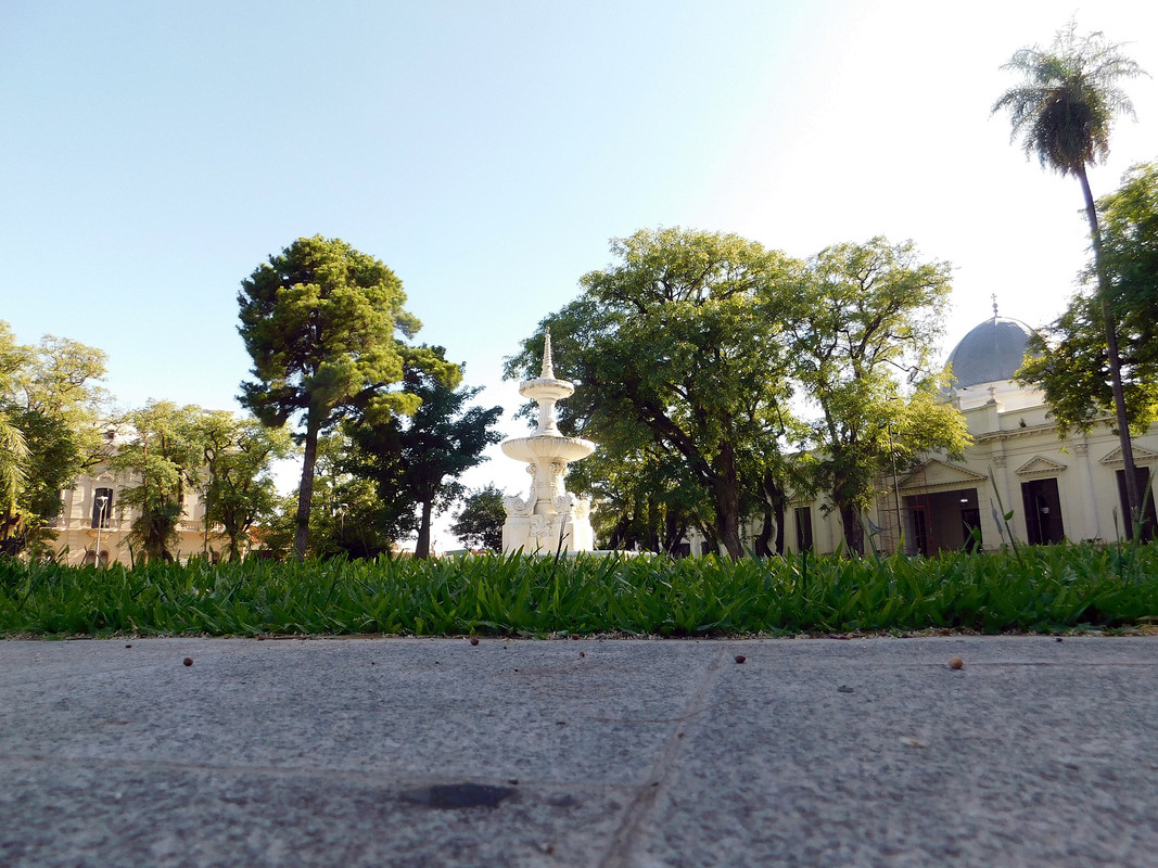 DSCN0529.jpg
