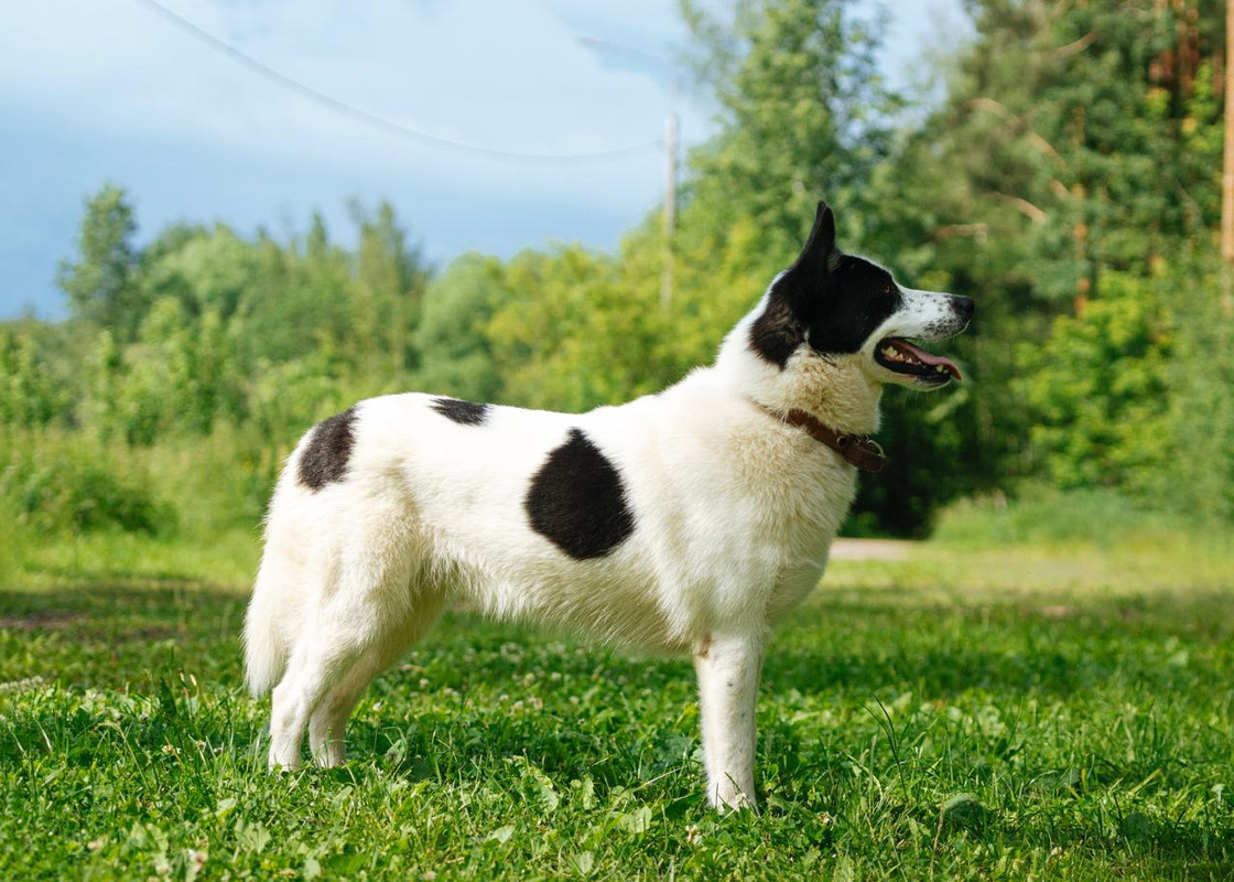 Изображение WhatsApp 2025-07-06 в 10.03.42_9baeafe9