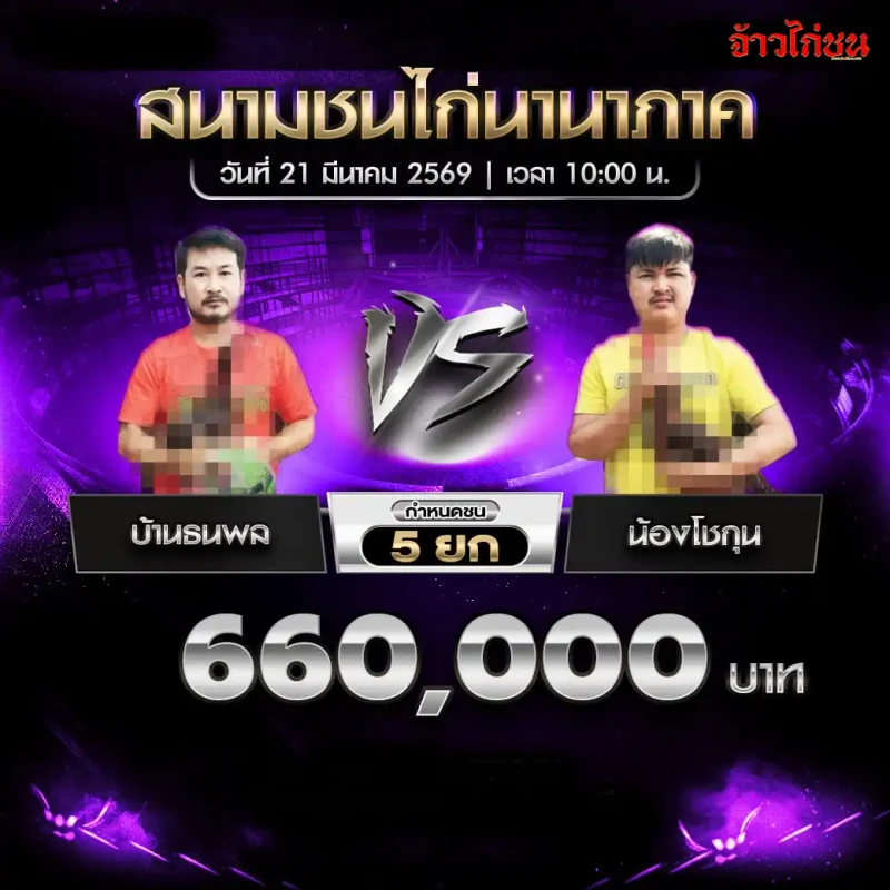 โปรแกรมไก่ชน คู่เด่น บ้านธนพล พบ น้องโชกุน สนามชนไก่นานาภาค 21 มีนาคม 2569