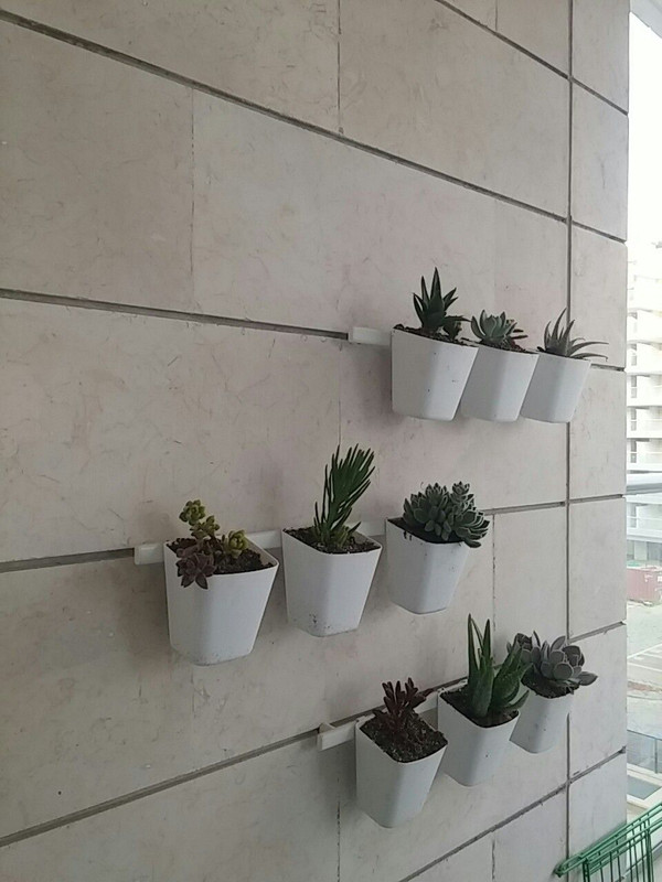 bda6bc43a71912a8cc3f55a48b804d89