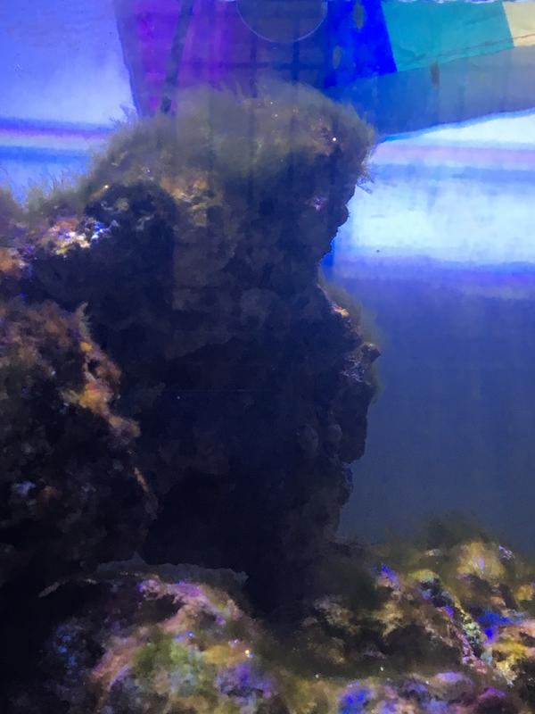 B64B228E-57D4-4B6D-A994-44E816B80785