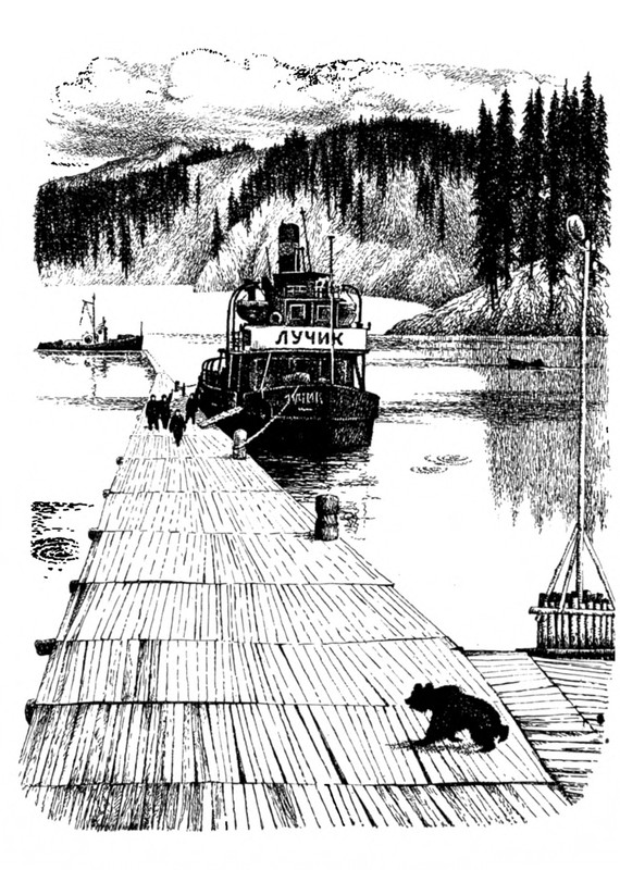 Belozerov-Timofej-Smorodinovyj-kust-1977-page-0040