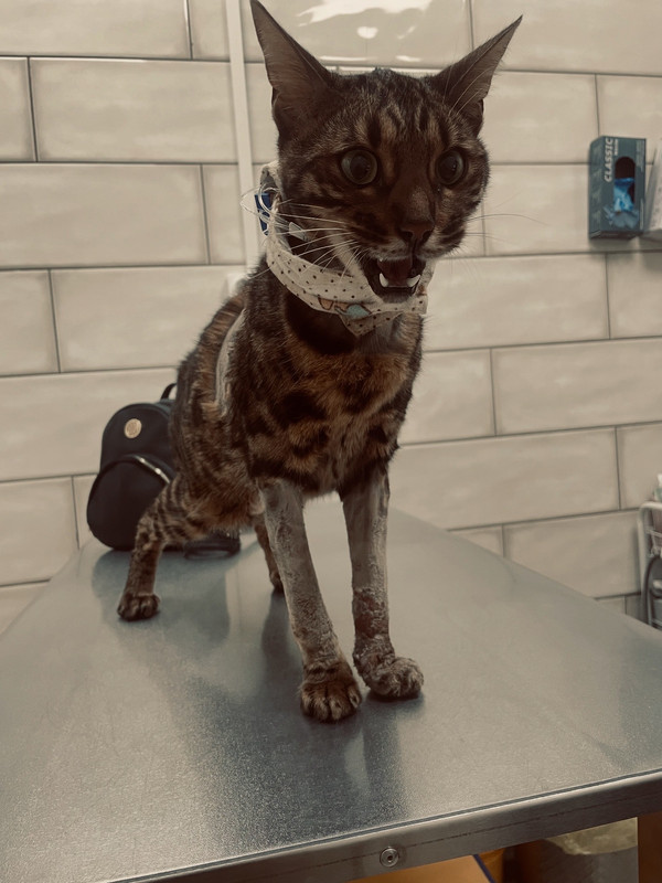 F0D86F0B-97AE-4889-9307-2DE7DE320FA9