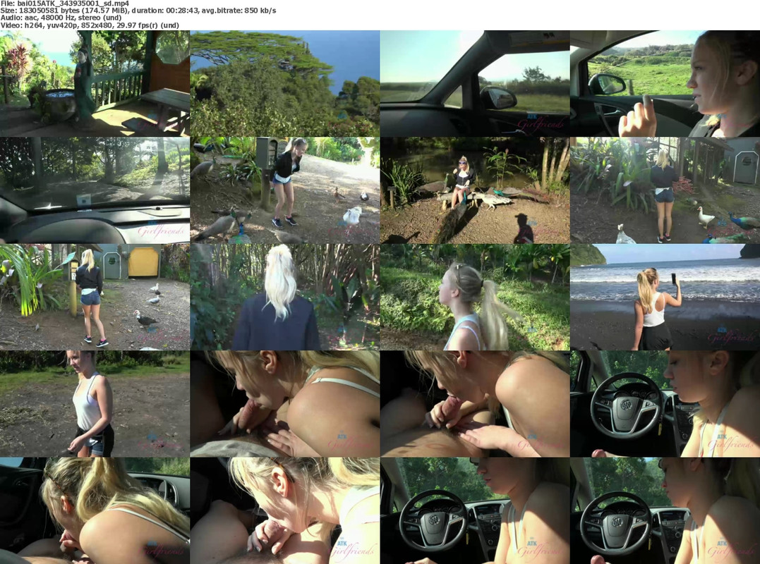 19122022114414screenshot