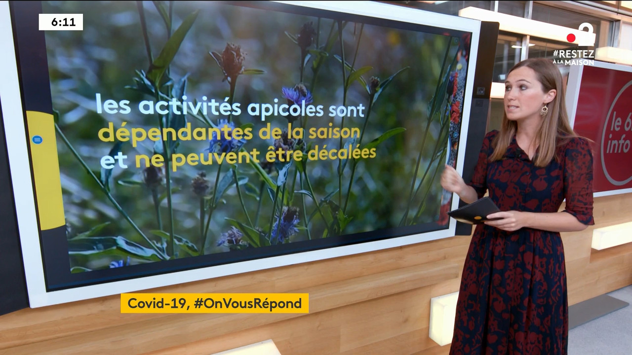 2020-04-09_06_00_Fr2_Le-6h-info.mp4_snapshot_17.08_[2020.04.19_22.50.49]