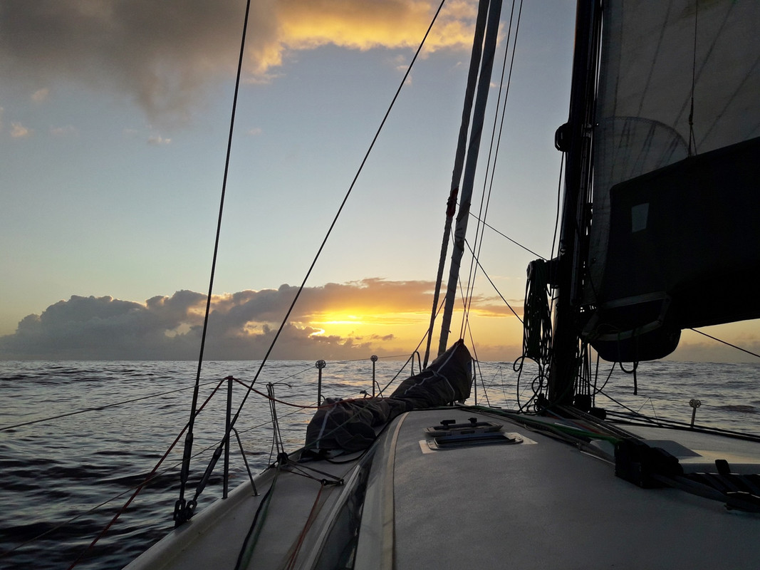 [Imagen: 20200223_174050.jpg]