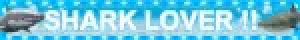 Member banner