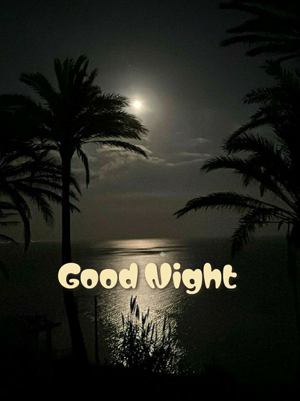 download - 2025-10-11T072344.859