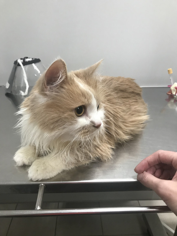 70614FA1-2BB4-439E-B415-E90EEA1F9785