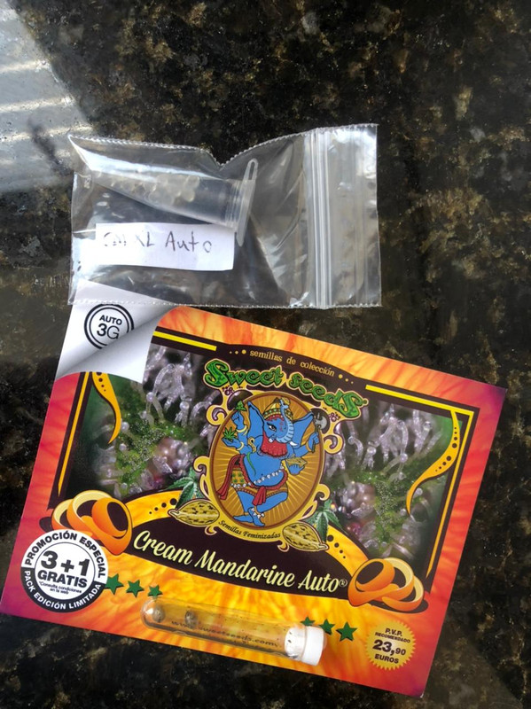 WhatsApp Image 2022-01-27 at 09.52.13