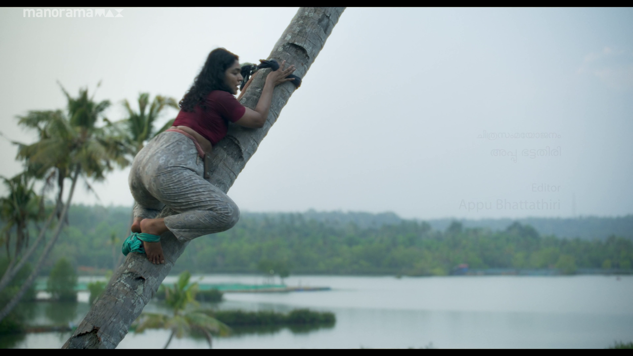 vlcsnap 2026 02 25 12h47m59s259