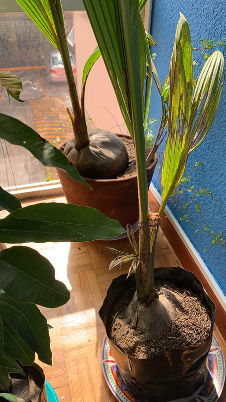 049DF1E5-8532-43D6-95F9-06045C5DFCD9