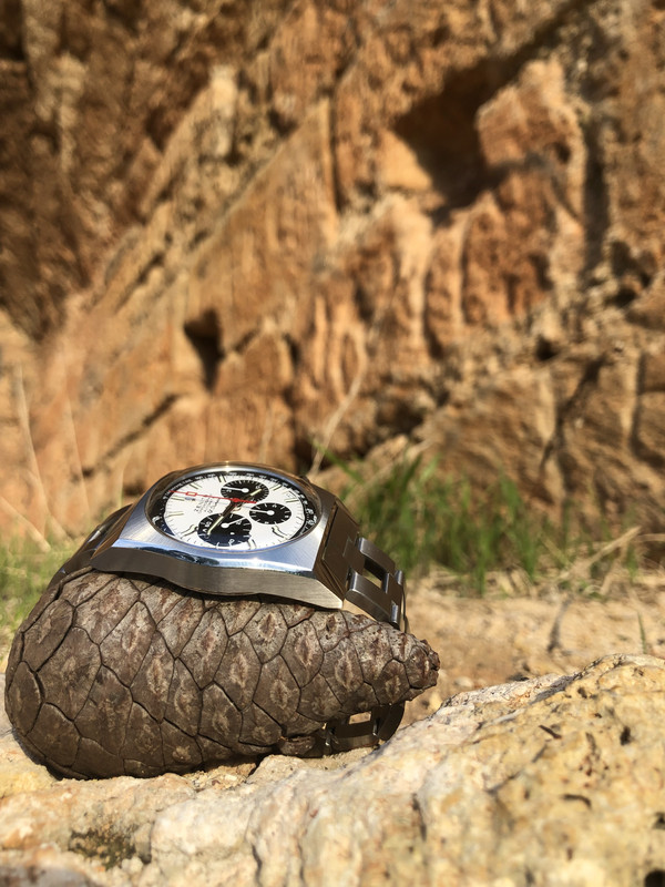 5327C43A-5AB9-4DDF-AD6C-D52CEE11A375