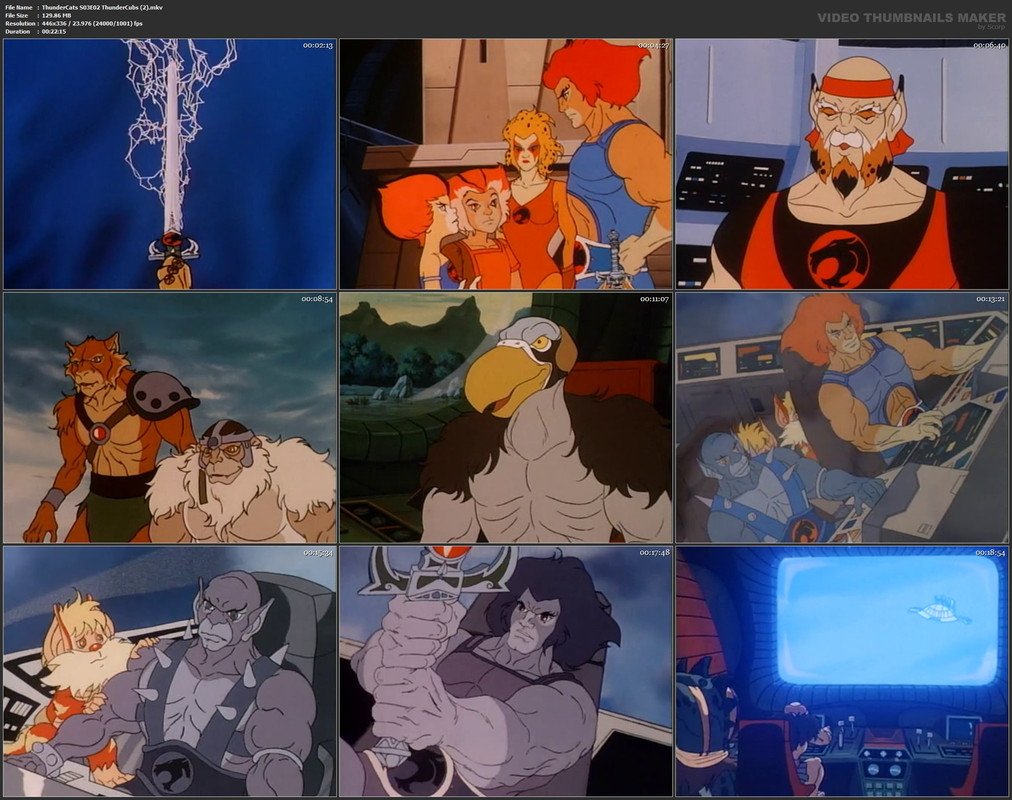 ThunderCats S03E02 ThunderCubs (2).mkv