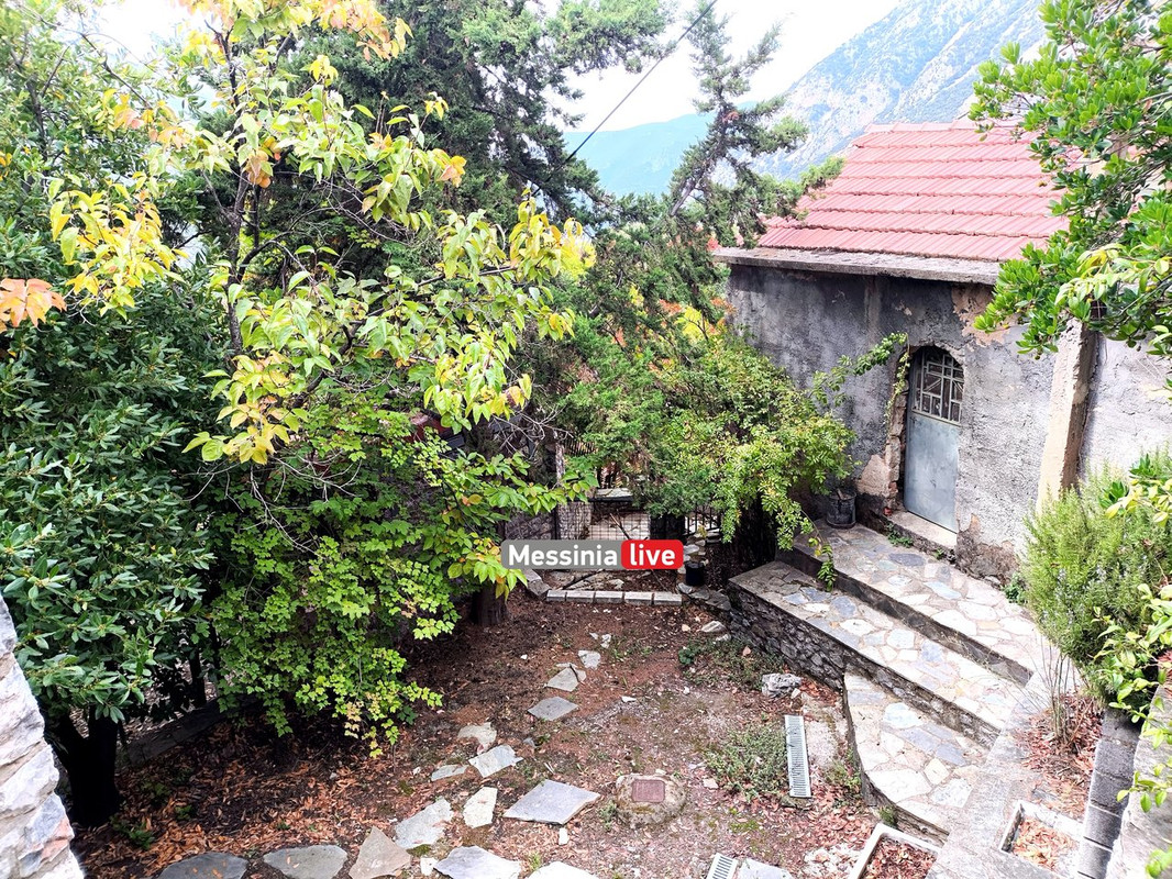 LADASIMG-20251012-131433