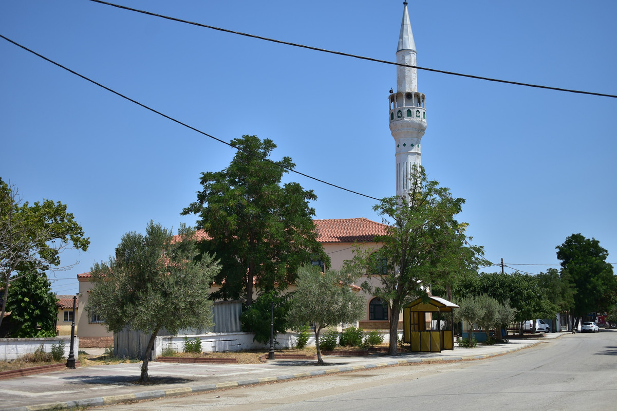 Αμάραντα (1)