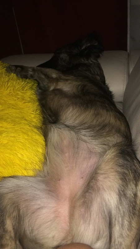 4F14AFC6-A791-4DD9-BA8A-B23831C18196