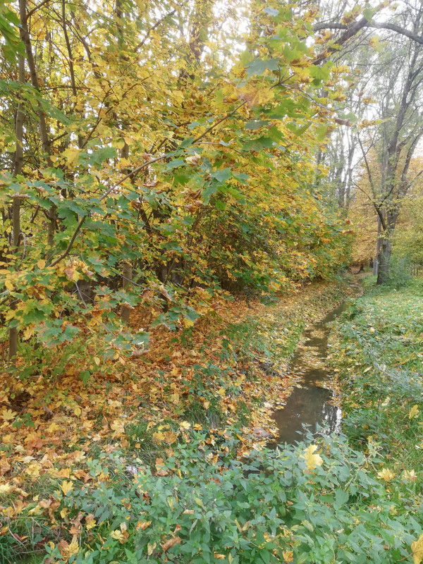 [Obrazek: IMG-20221015-142015.jpg]