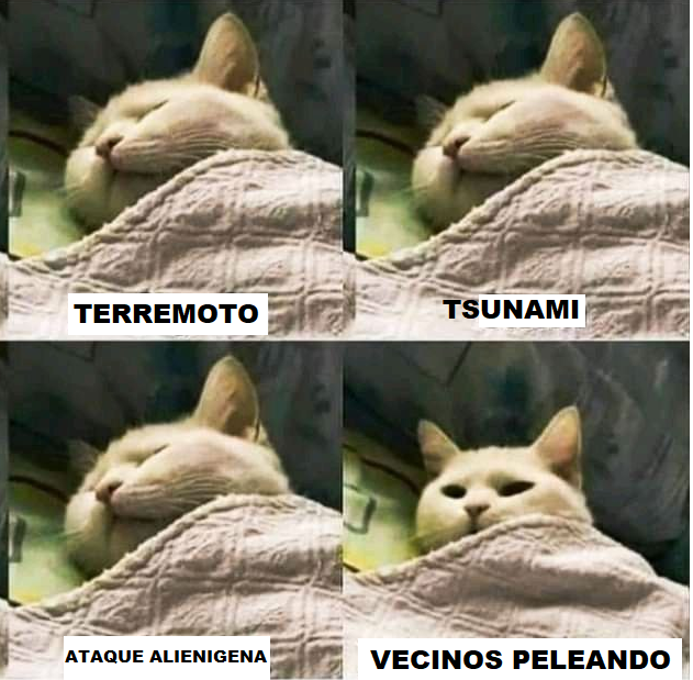 ALI.png