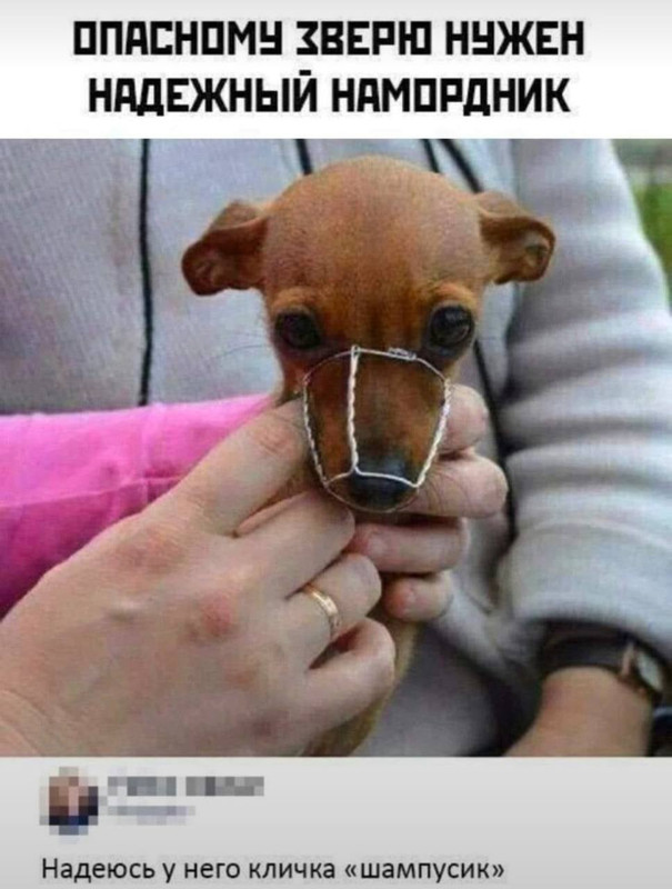 [Изображение: 68ded345b2bff9a6a5788fb9085f679a.jpg]