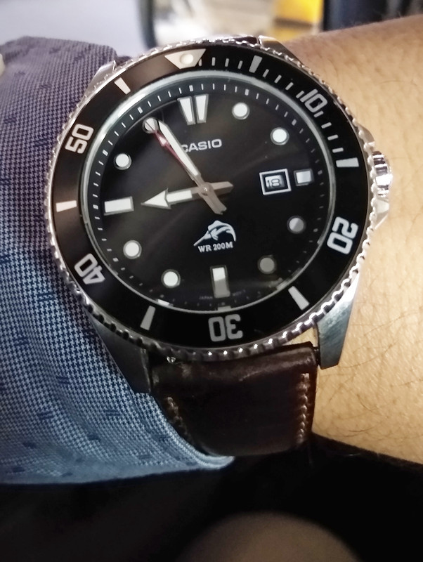 casio marlin 18marzo2020 01