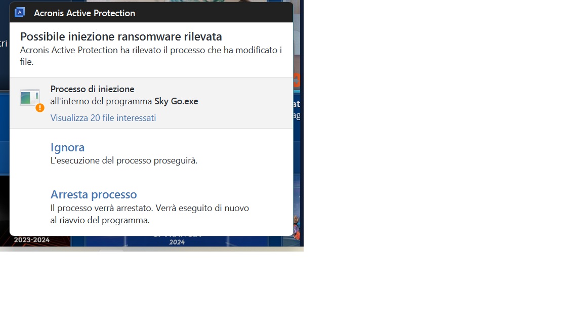 SKY-GO-ALLARME.jpg
