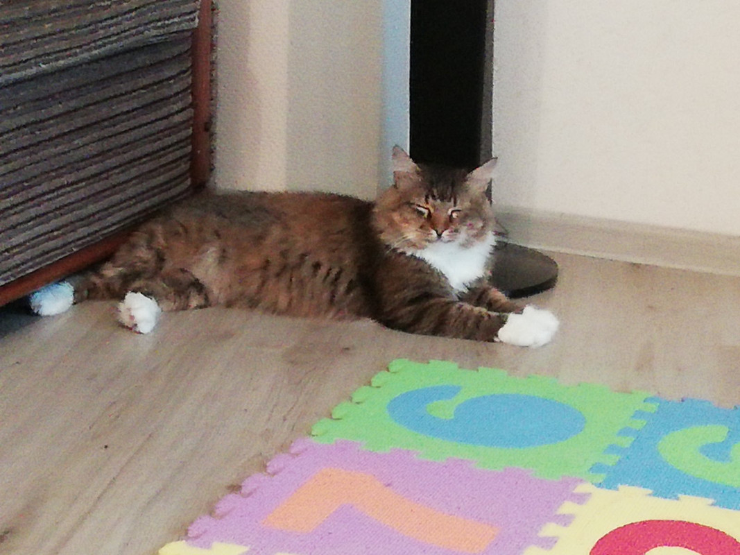 DB6E5034-84E7-4529-9071-0B6706CA46BD